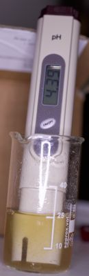 pH-Wert der Würze