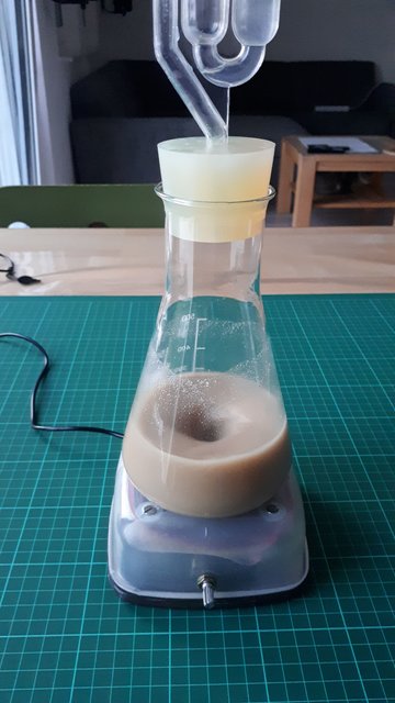 20190821_202604.jpg