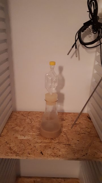 20190821_210011.jpg