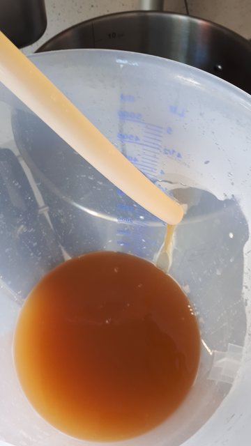 20190822_121739.jpg
