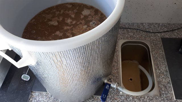 20190822_121854.jpg