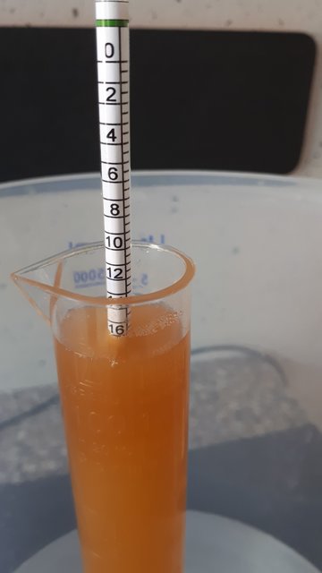 20190822_162951.jpg