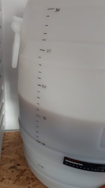 20190822_164417.jpg