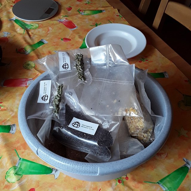 20190901_093727.jpg