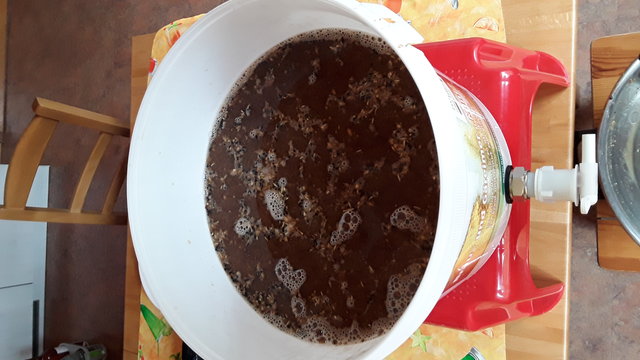 20190901_111501.jpg