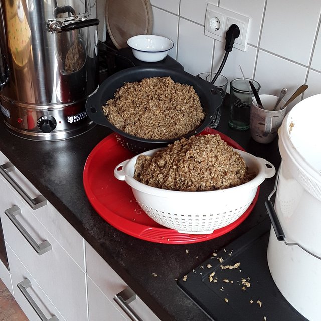 20190901_122552.jpg