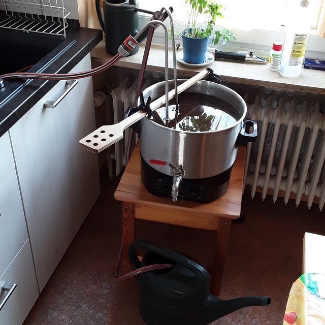 20190901_134647.jpg