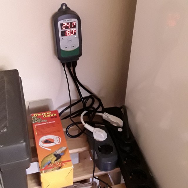 20190901_143514.jpg