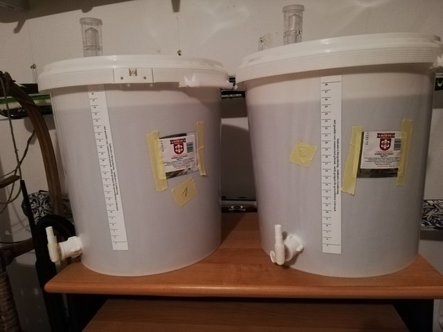 Und da stehen sie nun meine beiden Sommerbier-Twins und werden hoffentlich genauso gut wie beim letzten Mal