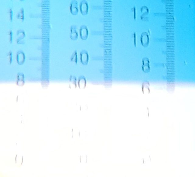 Screenshot_20190920-163942_Gallery.jpg