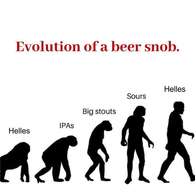 Beer Evolution.jpg