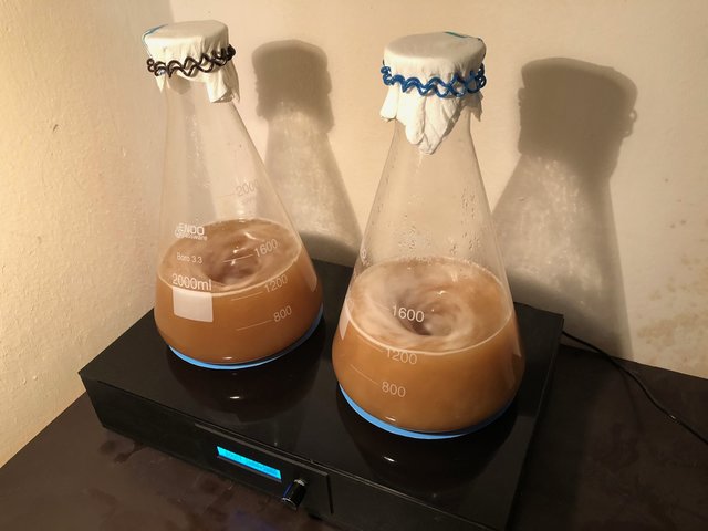 Selbstbau Rührer V1