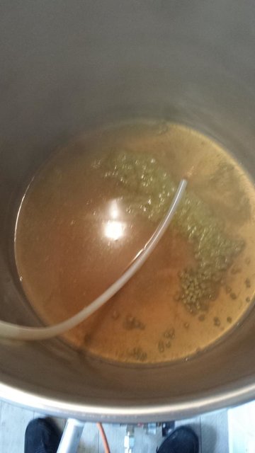 Läutern in die 70L Pfanne