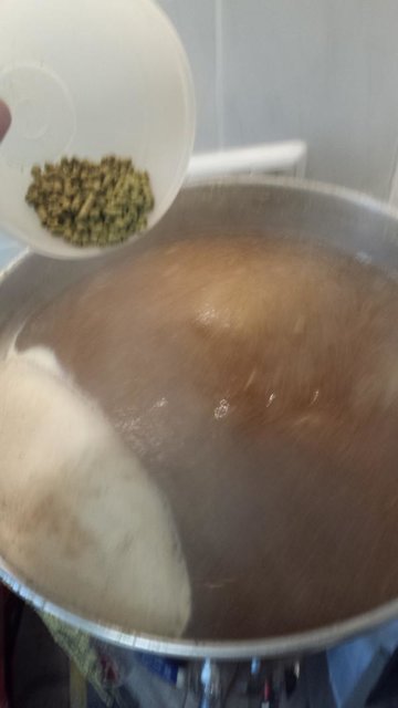 100% Cascade Hopfung, Vorderwürze, 70min und 10min mitgekocht