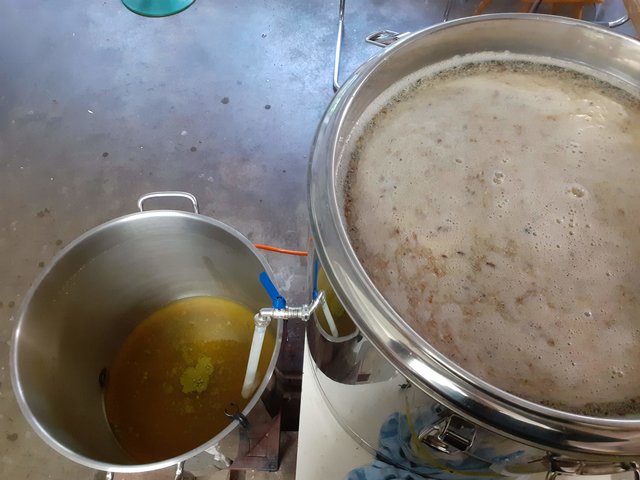 20191004_125851.jpg (506.64 KiB) 19286 mal betrachtet Nach einer Stunde "single infusion mash", besser bekannt als Kombirast, läuft die Vorderwürze in die Pfanne. Wenn diese zu einem Drittel gefüllt ist, wird geheizt. Hier wurde noch Nelson Sauvin als Vorderwürzehopfen vorgelegt.