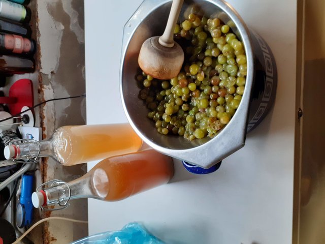 20191004_153154.jpg (460.6 KiB) 19201 mal betrachtet Je 1 Liter Traubensaft und noch ein Kilo frische Trauben werden auf 2 30 Liter Gärfässer aufgeteilt.