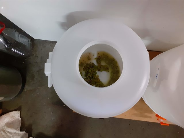 20191004_155553.jpg (302.8 KiB) 19201 mal betrachtet Im Gärfass.