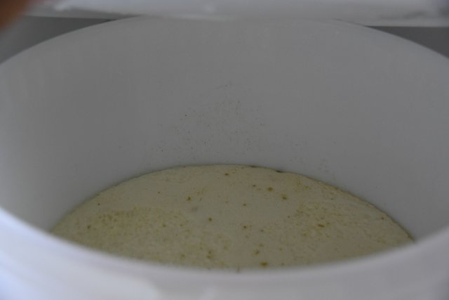 DSC_2973.JPG