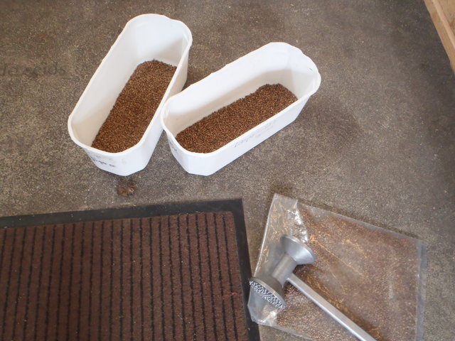 P3310128.JPG (668.46 KiB) 16229 mal betrachtet Koriander