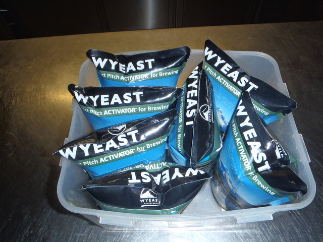 P3310139.JPG (670.6 KiB) 16229 mal betrachtet Hefe