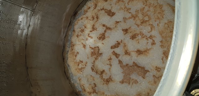 Gärung nach 48h