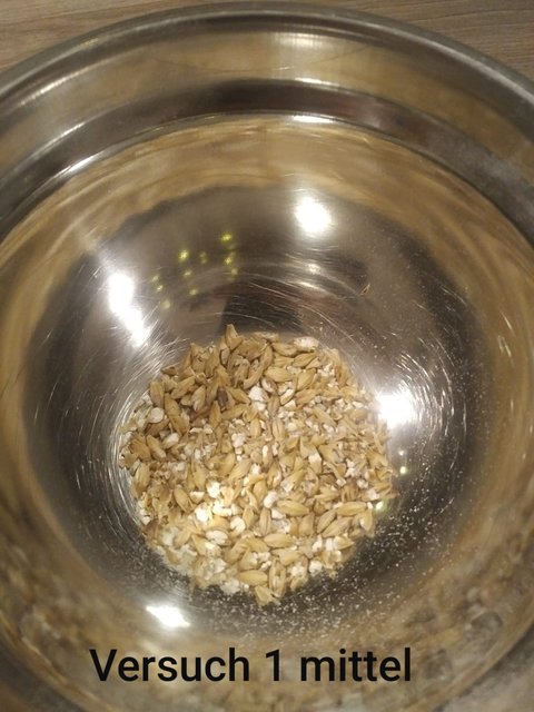 IMG-20191101-WA0010.jpg