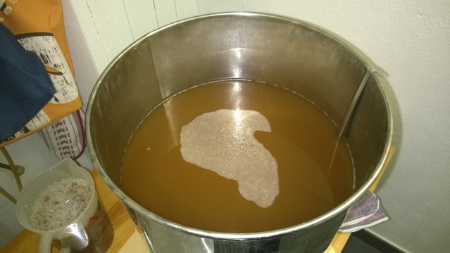WP_20150406_016.jpg