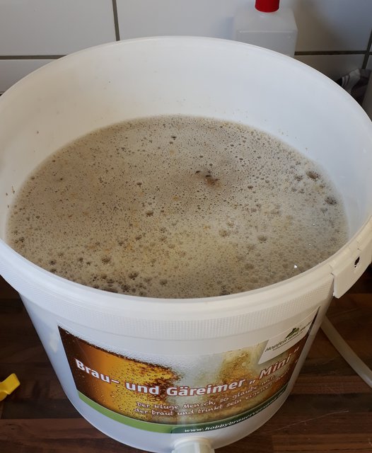Ein großer Vorzug der kleinen Anlage. Einfach alles in den Läutereimer rüberkippen wo die Läuterspriale drin liegt. Kein Gespritze usw.. Unkosten keine 30€ insgesamt und gleichzeitig Gäreimer!