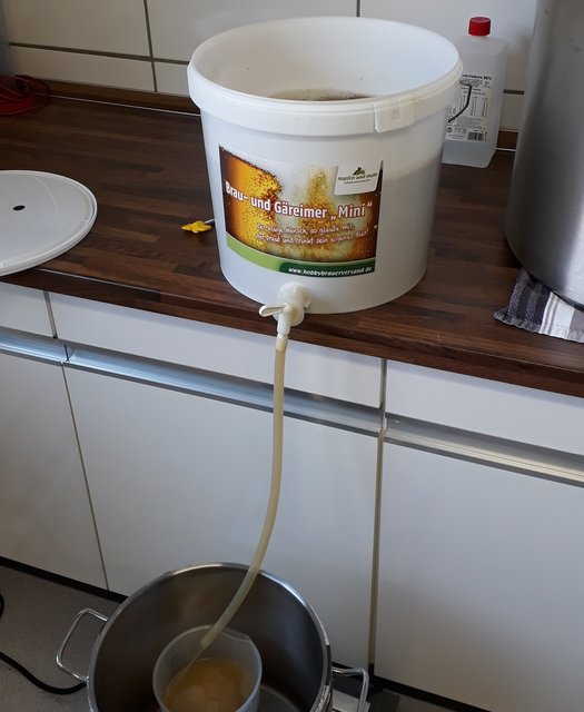 Läutern bis es klar wird. Hm.. recht trüb das alles. Habe erst 3x vorgeschossen und jetzt lass ich laufen bis es klar wird.