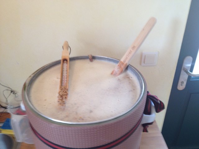 05_Sud_Märzen_OG_20150411_102805_Maische.JPG (438.1 KiB) 14153 mal betrachtet Maische aus 21,7l HG und 5,52 Schüttung