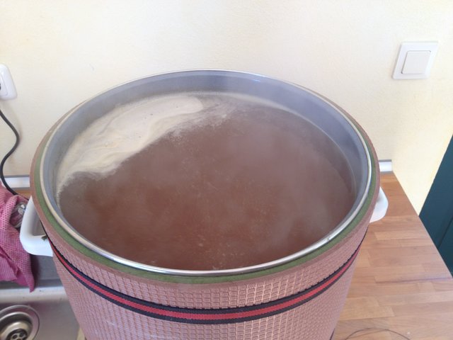 05_Sud_Märzen_OG_20150411_151152_Hopfenkochen.JPG (1.8 MiB) 14051 mal betrachtet Hopfenkochen