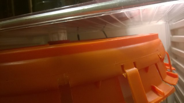 WP_20191223_003.jpg