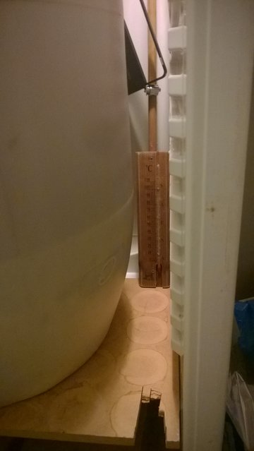 WP_20191223_004.jpg