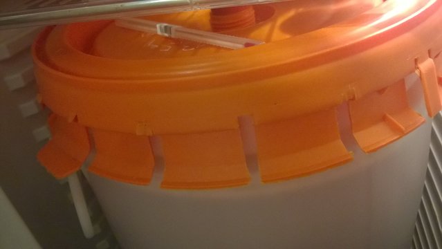 WP_20191223_005.jpg