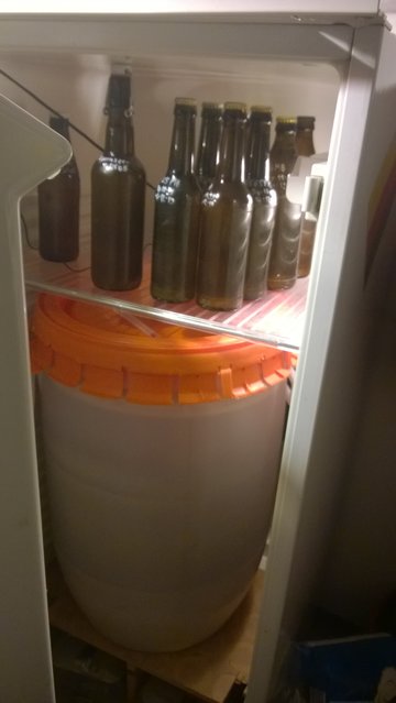 WP_20191223_006.jpg