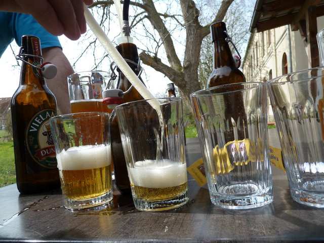 Hier mein 9 Monate altes Wacholderbier ohne Hopfen. Wie man sieht, sind wir ziemlich schnell auf kleinere Gläser umgestiegen.