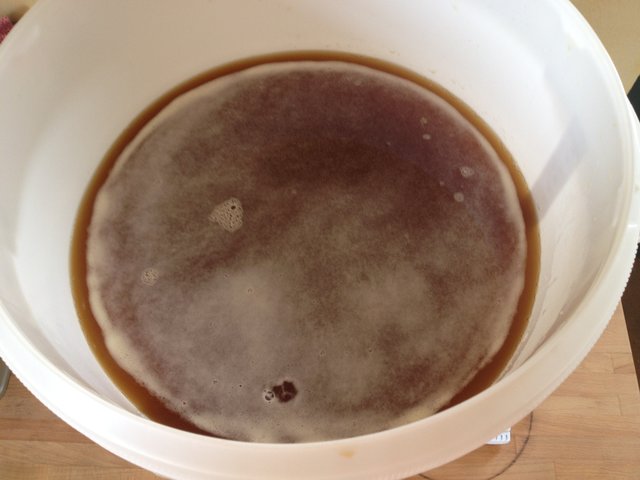 05_Sud_Märzen_OG_20150412_105242.jpg (1.57 MiB) 13719 mal betrachtet Erste Bläschen