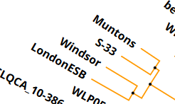 Windsor-dna.PNG
