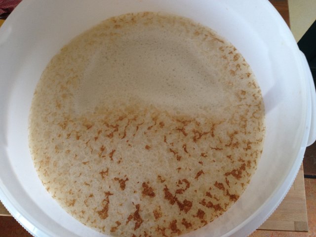 05_Sud_Märzen_OG_20150412_183120.jpg (1.9 MiB) 13719 mal betrachtet Kräusen