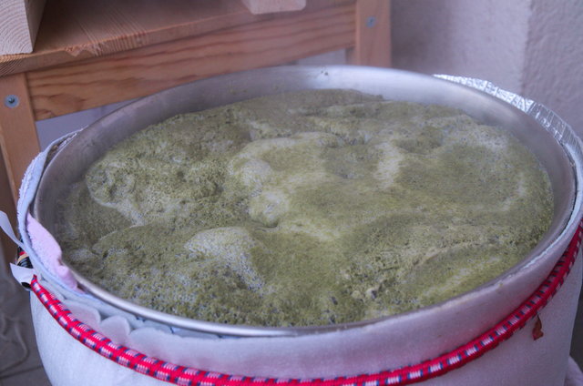 Proficook voll.