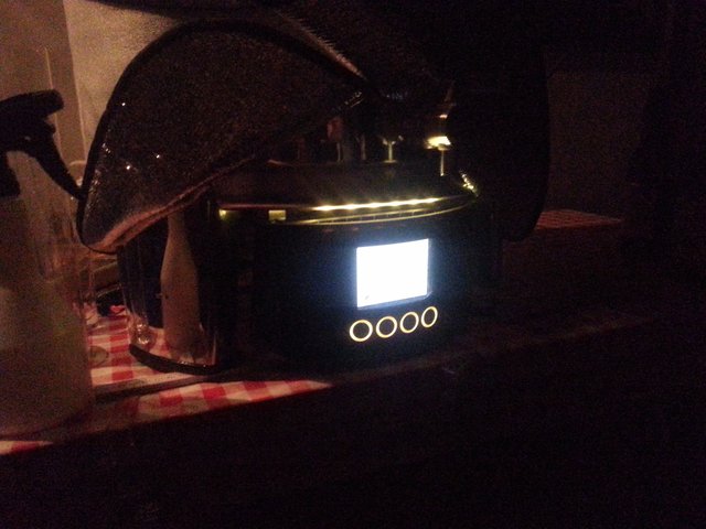WP_20150324_018.jpg