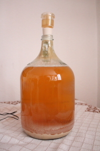 DPP_0001.JPG