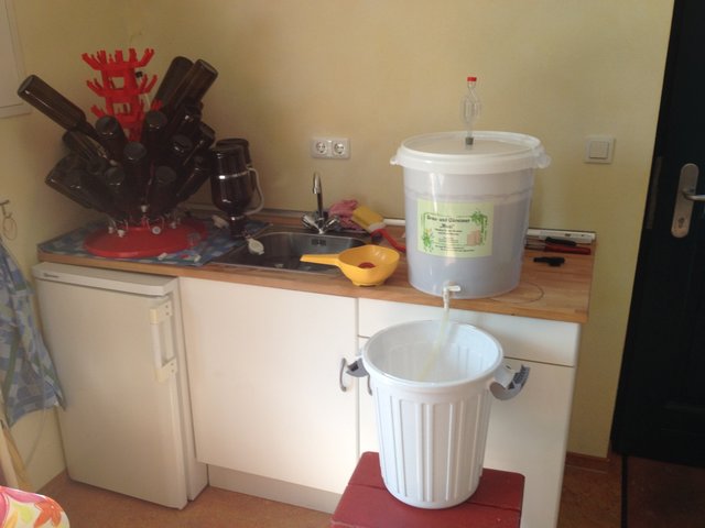 05_Sud_Märzen_OG_20150418_141449_Abfuellen.jpg (417.3 KiB) 13511 mal betrachtet Bereit zum Abschlauchen, ca. 152g Haushaltszucker vorgelegt