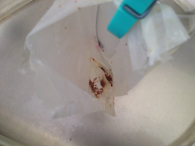 05_Sud_Märzen_OG_20150418_143832_Abfuellen.jpg (699.65 KiB) 13511 mal betrachtet Fitzel im Filter