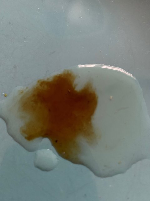 Exbieriment 4.jpg