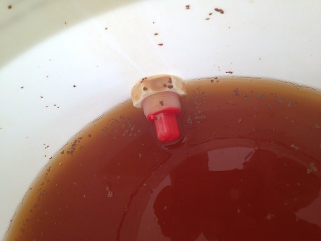 05_Sud_Märzen_OG_20150418_142922_Abfuellen.jpg (595.27 KiB) 13511 mal betrachtet Kurz vor Ende