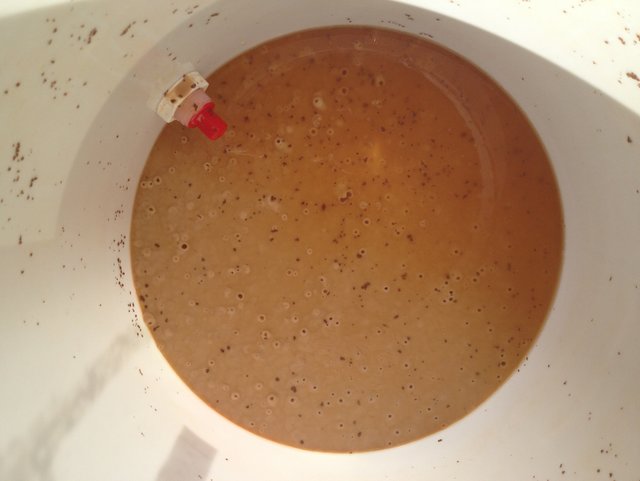 05_Sud_Märzen_OG_20150418_144011_Abfuellen.jpg (675.74 KiB) 13511 mal betrachtet Notti-Sediment