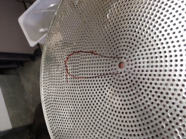 False Bottom 1.jpg