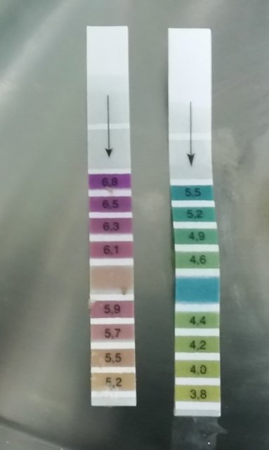pH.jpg
