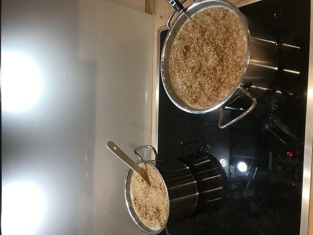 Dickmaische ziehen - rasten- kochen - zurück in den Maischekessel
